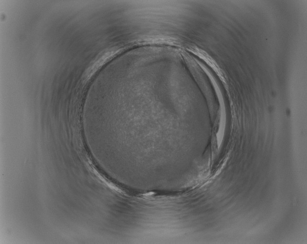 X0000071850577200607141752