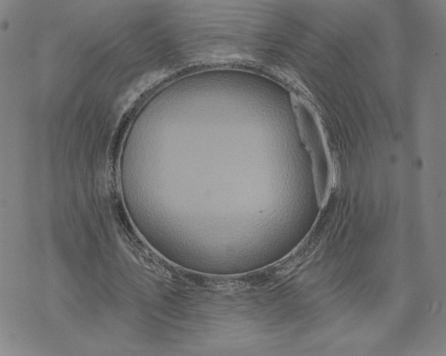 X0000071850579200607141752