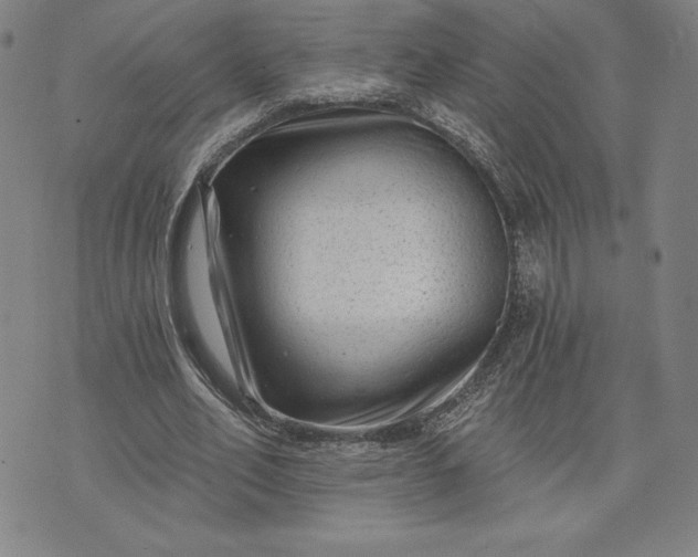 X0000071850582200607141752