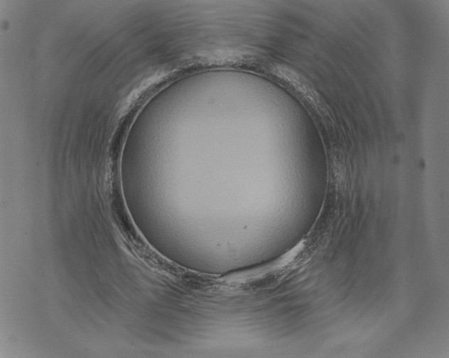 X0000071850583200607141752