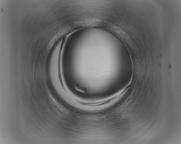 X0000071850586200607141752