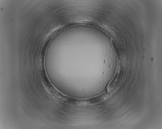 X0000071850587200607141752