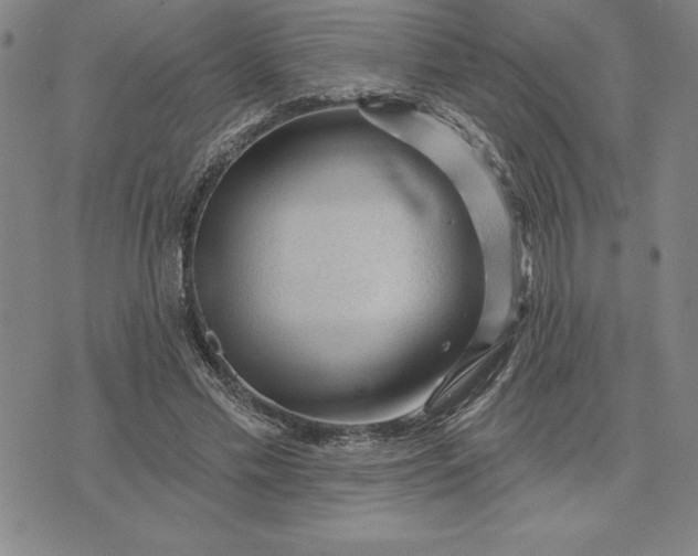 X0000071850589200607141752