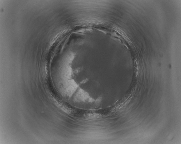 X0000071850590200607141752