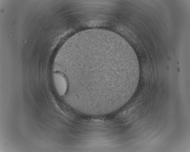 X0000071850592200607141752