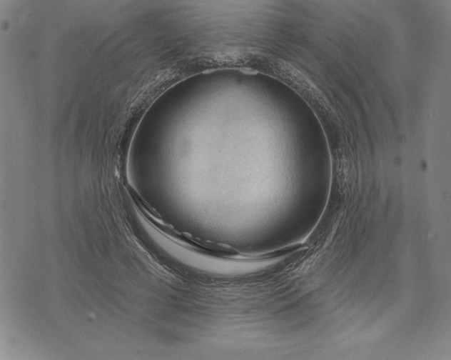 X0000071850593200607141752