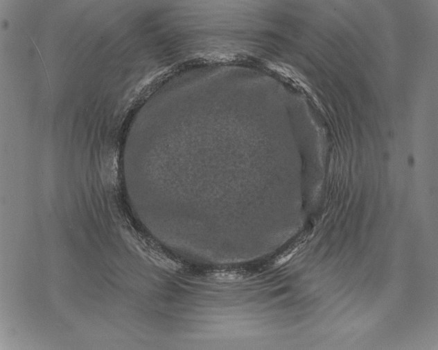 X0000071850596200607141752