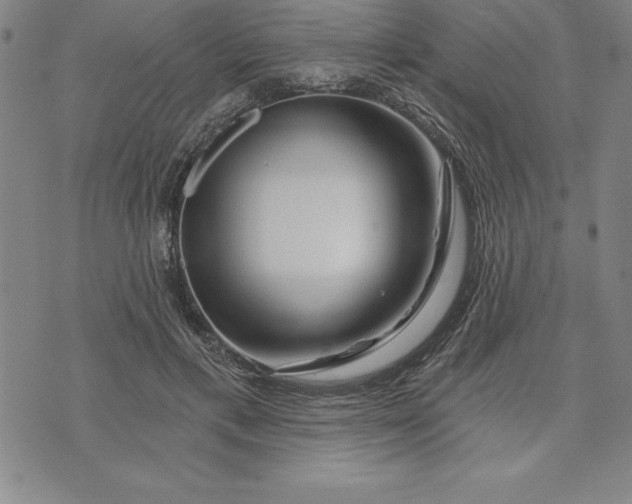 X0000071850597200607141752