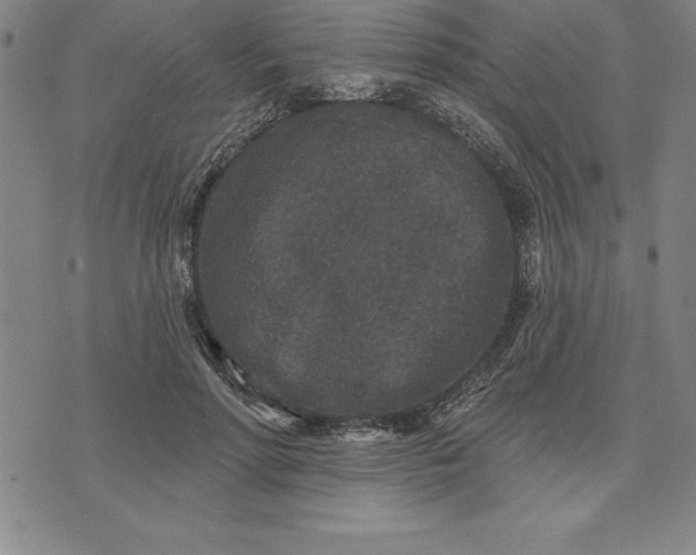 X0000071850598200607141752