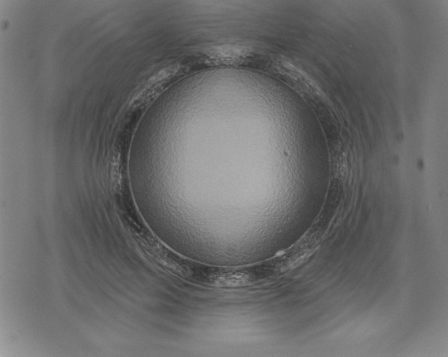 X0000071850599200607141752