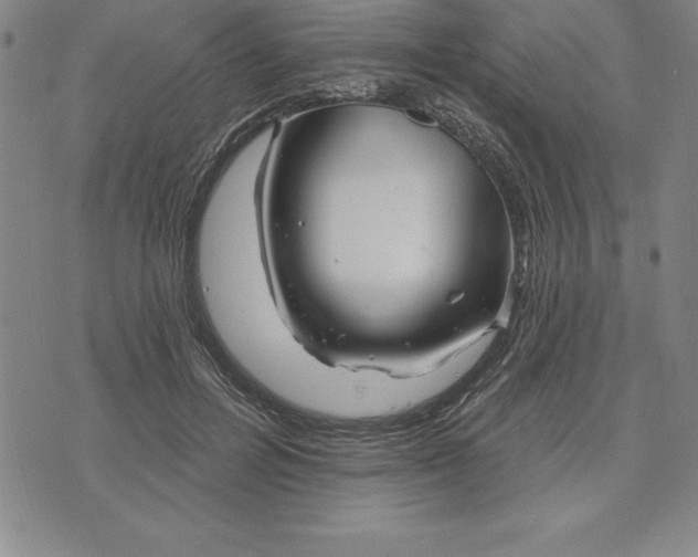 X0000071850600200607141752