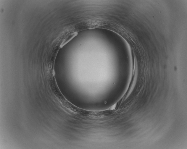 X0000071850601200607141752