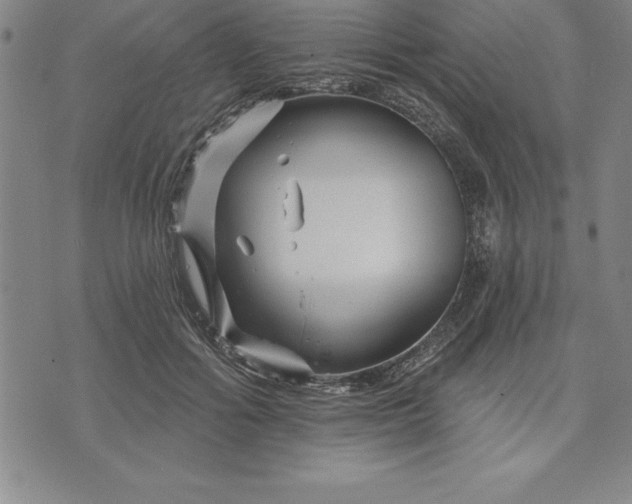 X0000071850602200607141752