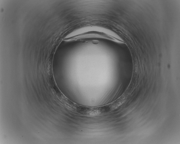 X0000071850604200607141752