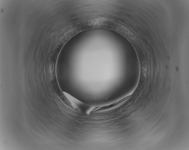 X0000071850605200607141752