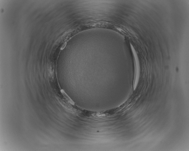 X0000071850607200607141752