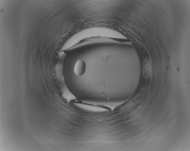 X0000071850608200607141752