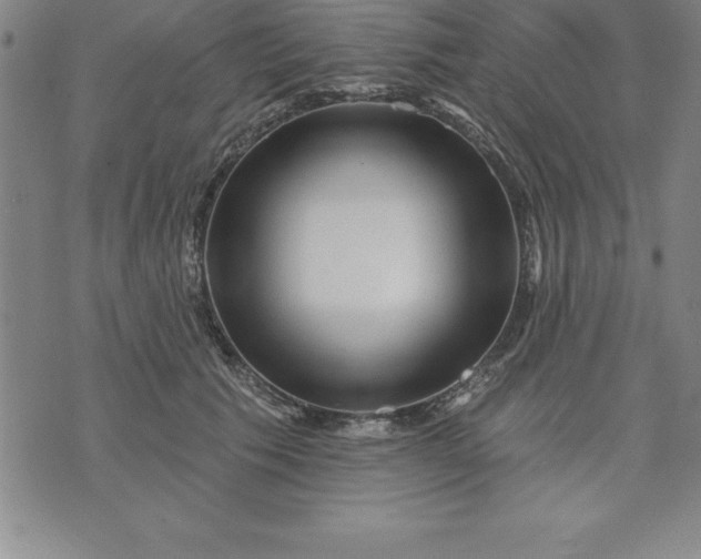 X0000071850609200607141752