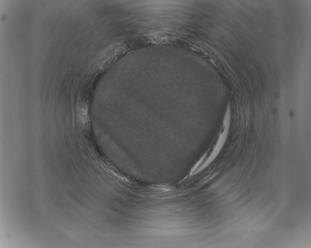 X0000071850610200607141752