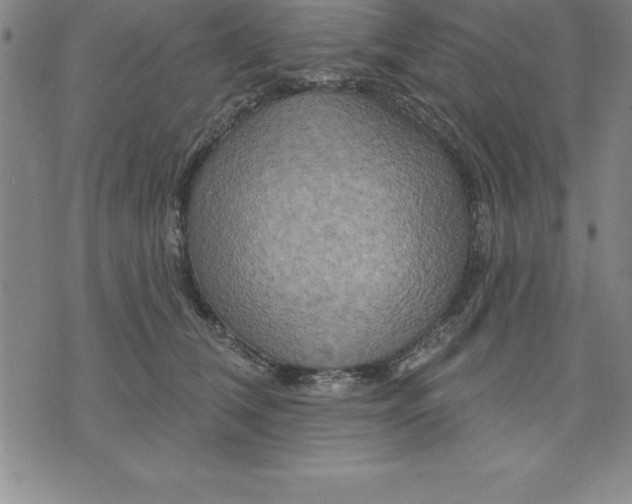 X0000071850612200607141752