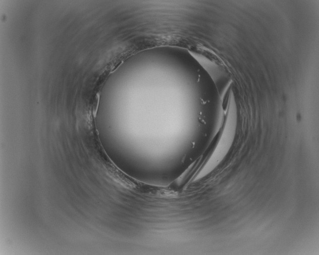 X0000071850613200607141752