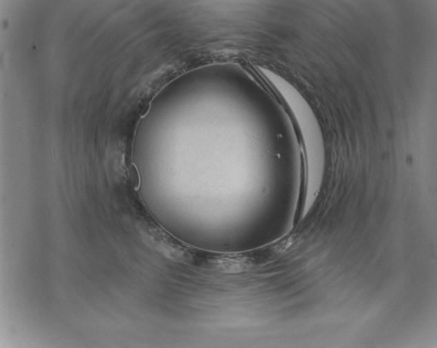 X0000071850615200607141752