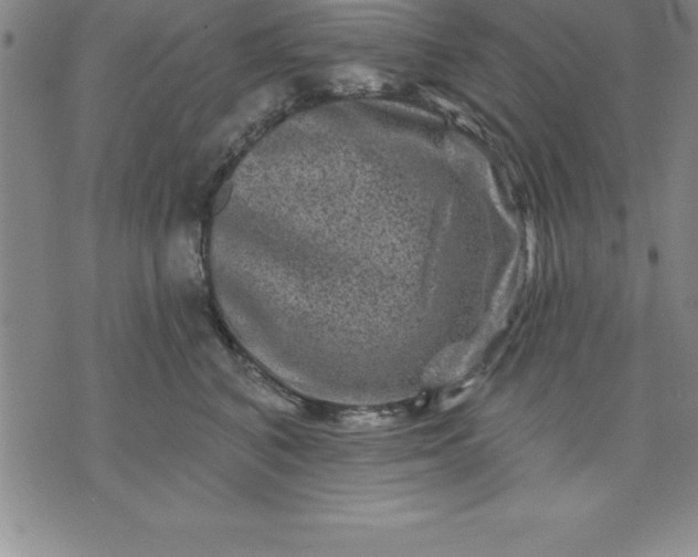 X0000071850616200607141752