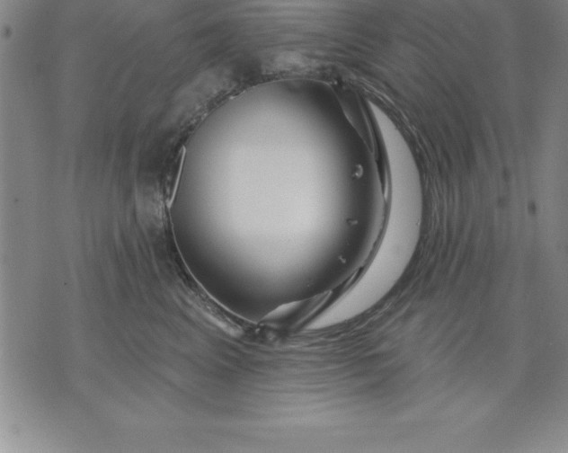 X0000071850617200607141752