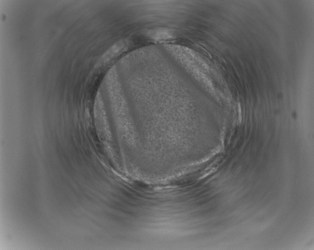 X0000071850618200607141752