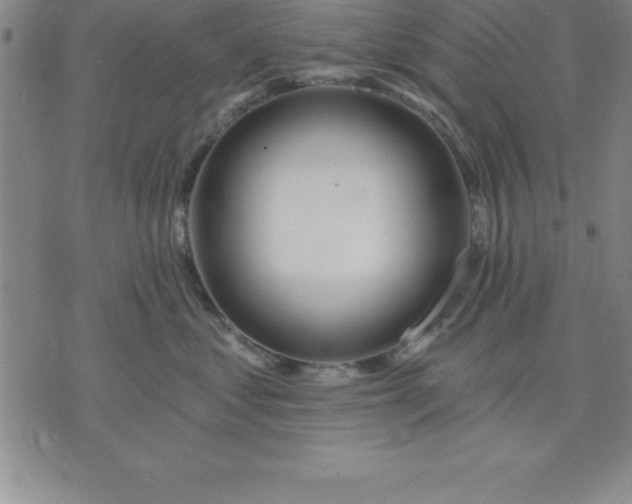 X0000071850621200607141752