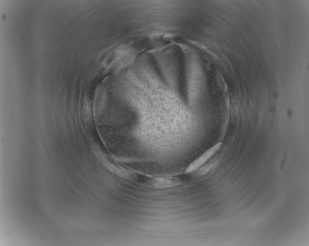 X0000071850623200607141751