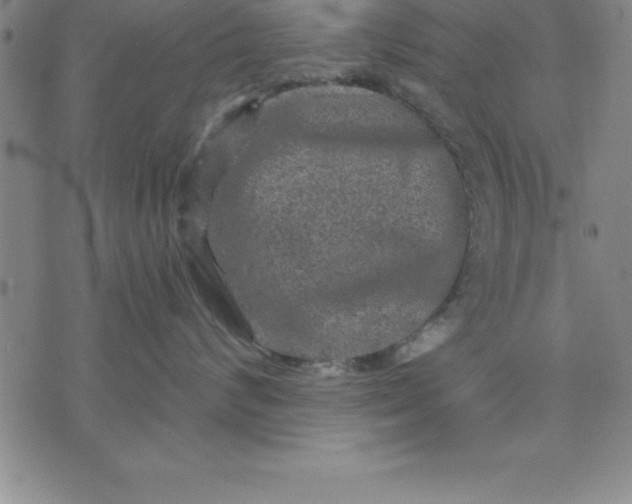 X0000071850624200607141751