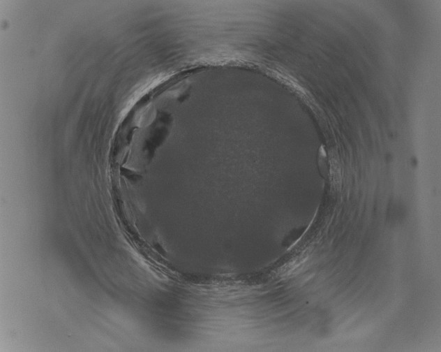 X0000071850626200607141751