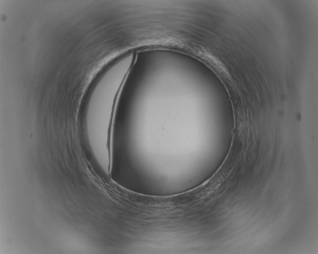 X0000071850628200607141751