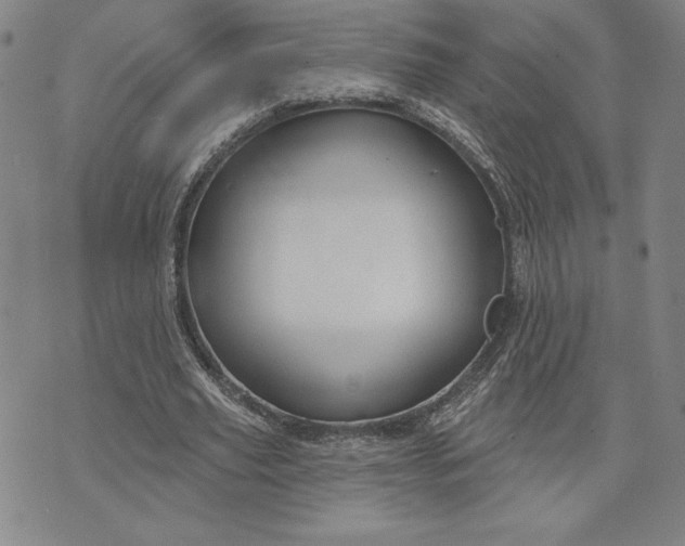 X0000071850629200607141751