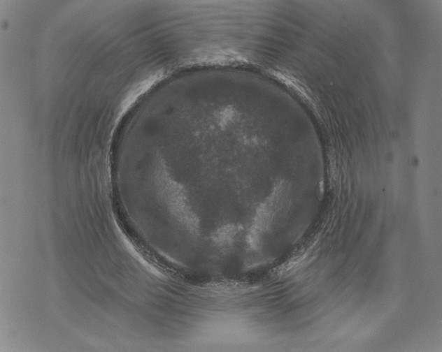 X0000071850630200607141751