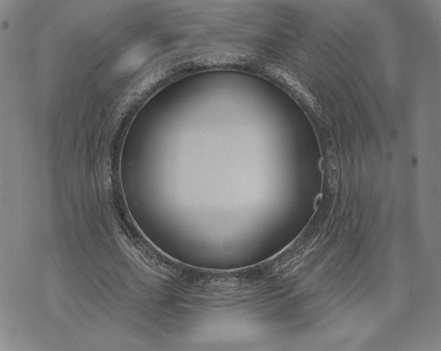 X0000071850631200607141751