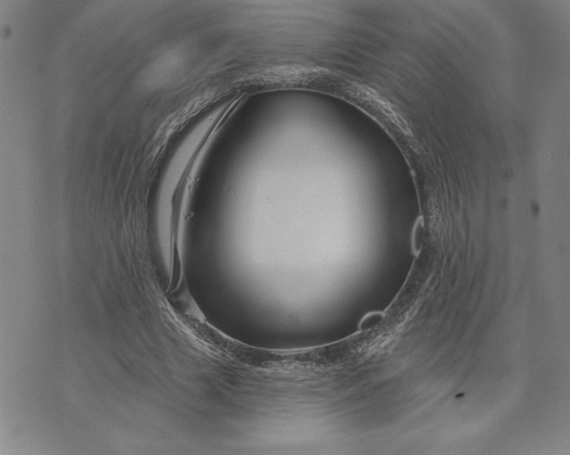 X0000071850633200607141751