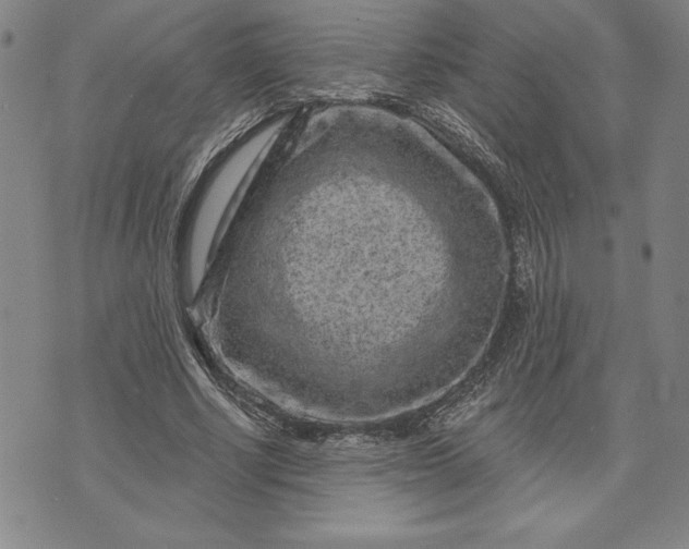 X0000071850634200607141751