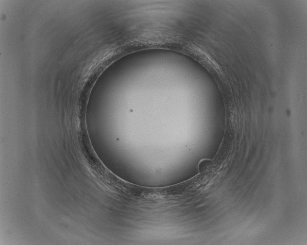 X0000071850635200607141751