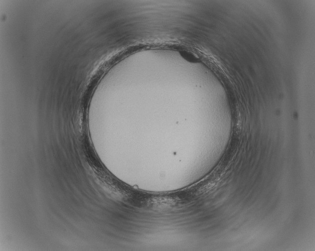 X0000071850636200607141751