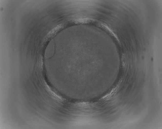 X0000071850637200607141751