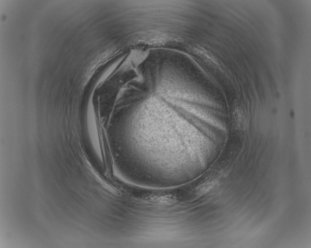 X0000071850638200607141751