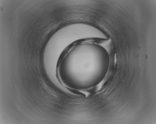 X0000071850639200607141751