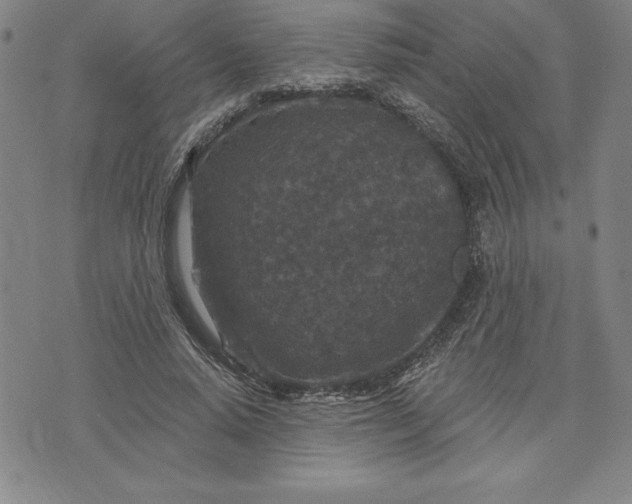 X0000071850640200607141751