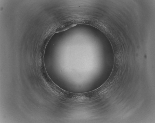 X0000071850642200607141751