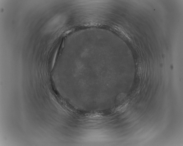 X0000071850643200607141751