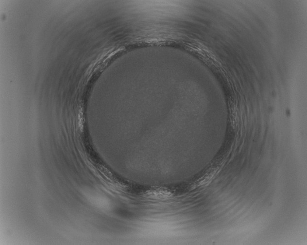 X0000071850644200607141751