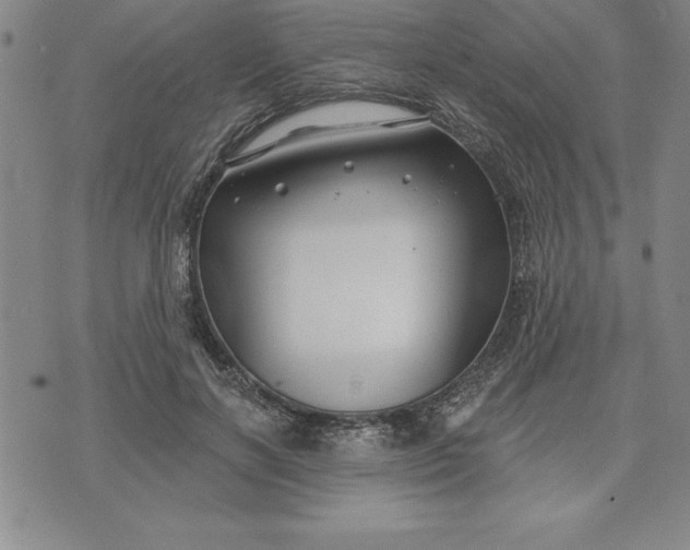 X0000071850646200607141751