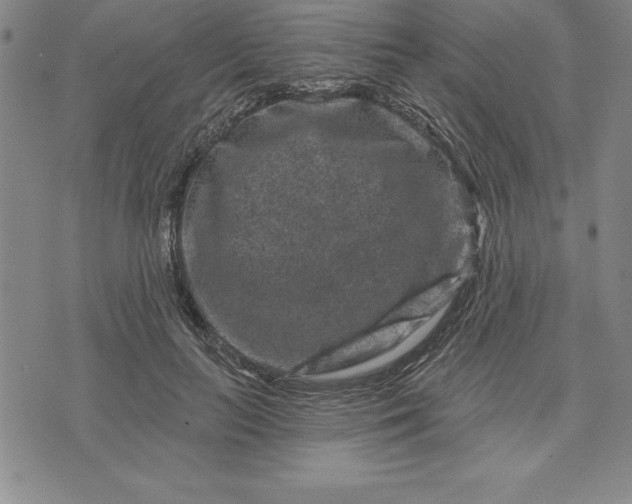 X0000071850647200607141751